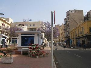 oran 255